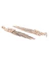 YouBella Jewellery Earings Crystal Tassel Handmade Earrings for Girls and Women (Brown)