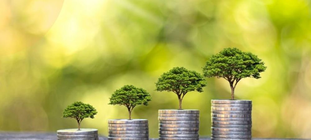 How SEO Helps Grow Your Business Online