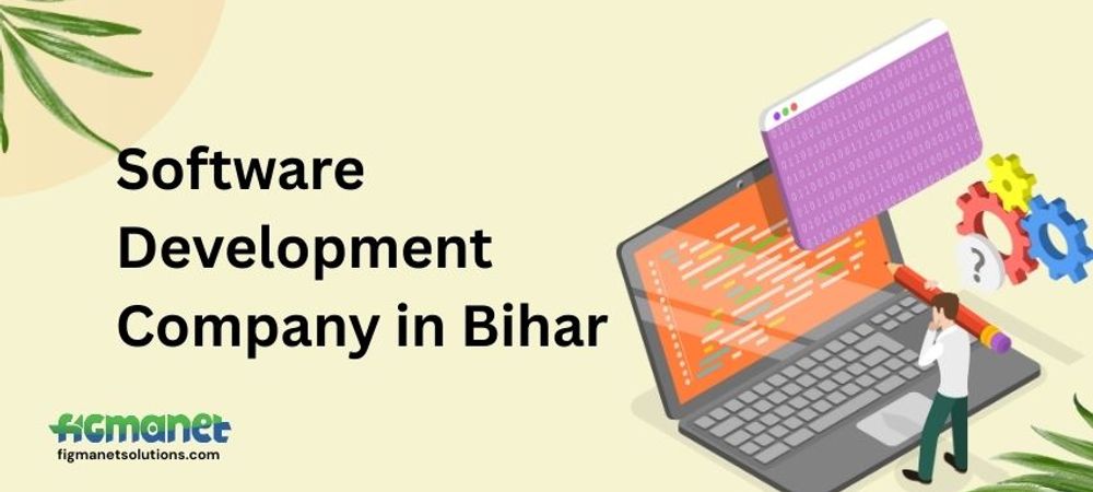 Software Development Company in Bihar