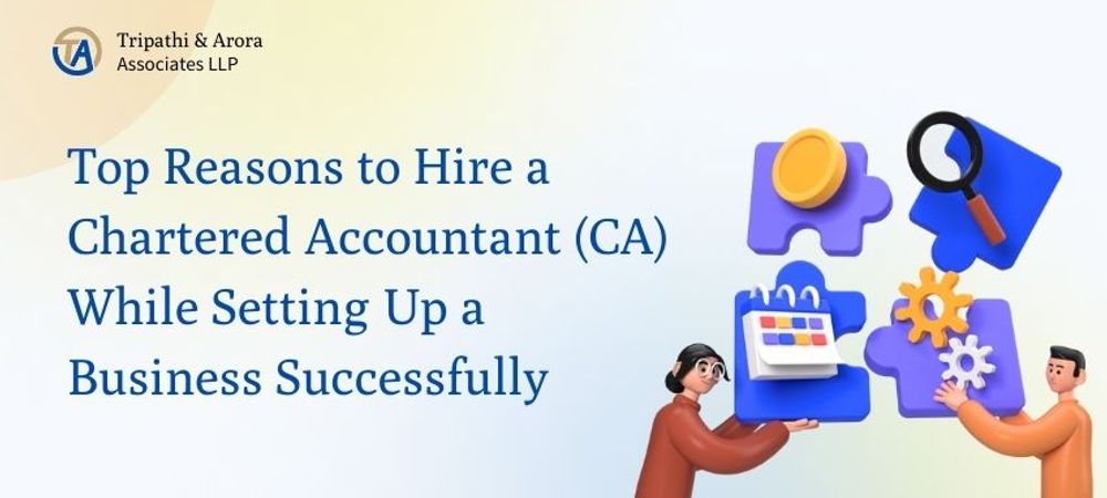Top Reasons to Hire a (CA) While Setting Up a Business Successfully