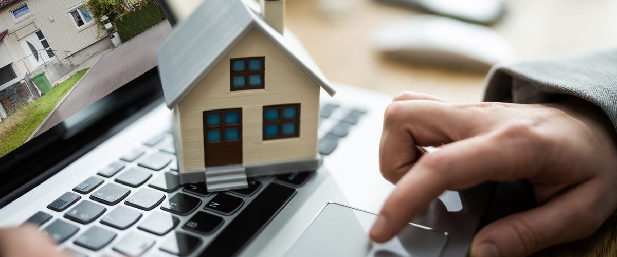 Real Estate Website Design and Development in Noida 