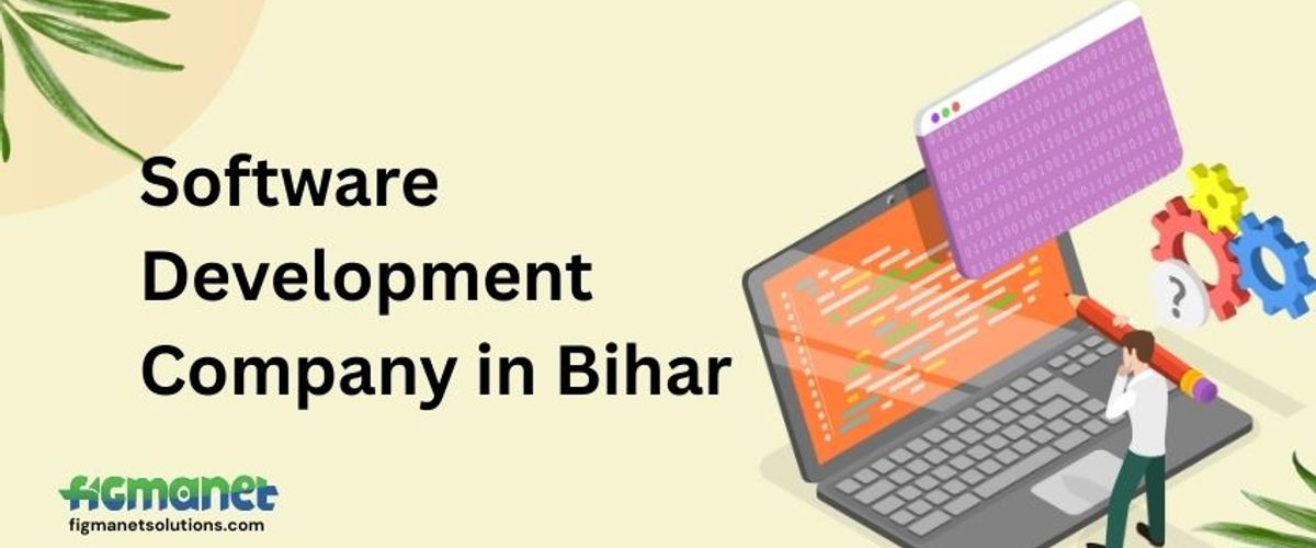 Software Development Company in Bihar