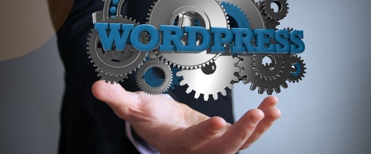WordPress Website Development in Meerut: Complete Guide for Beginners