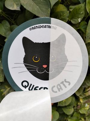 Queer cats car sticker 