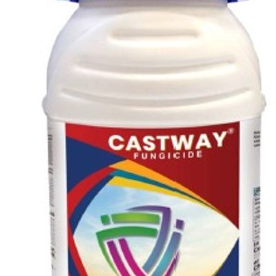 Castway