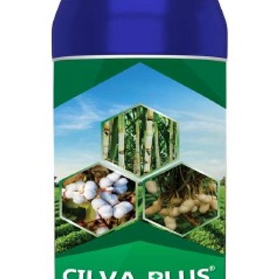 Cilva Plus