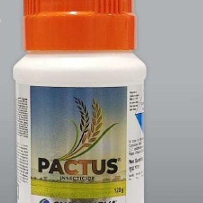 Pactus
