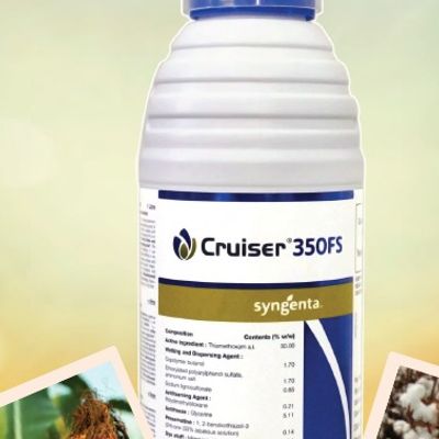 Cruiser 