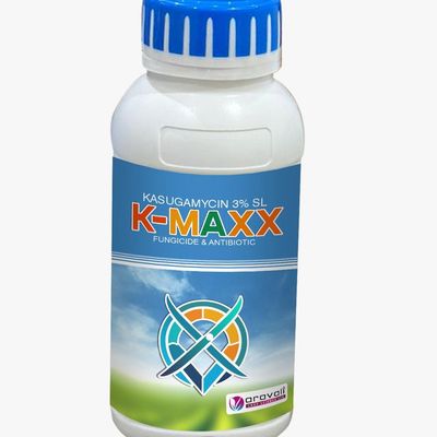 K-MAXX 