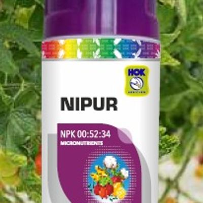 Nipur