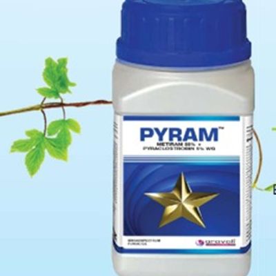PYRAM
