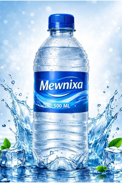 Mewnixa 500 ML Packaged Drinking Water