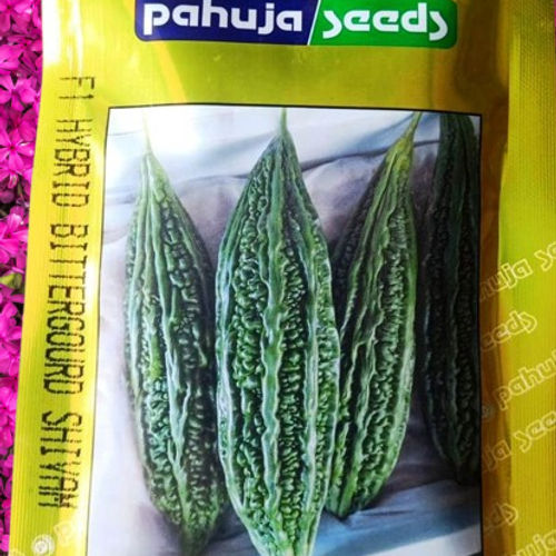 BITTERGOURD – करेला