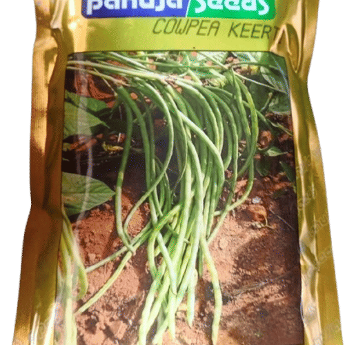 COWPEA – लोबिया