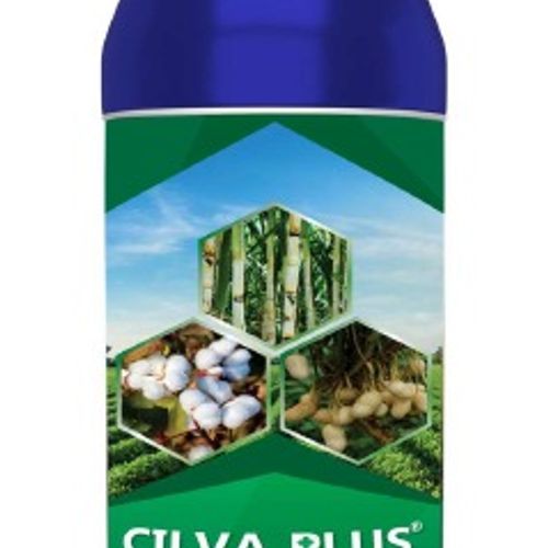 Cilva Plus