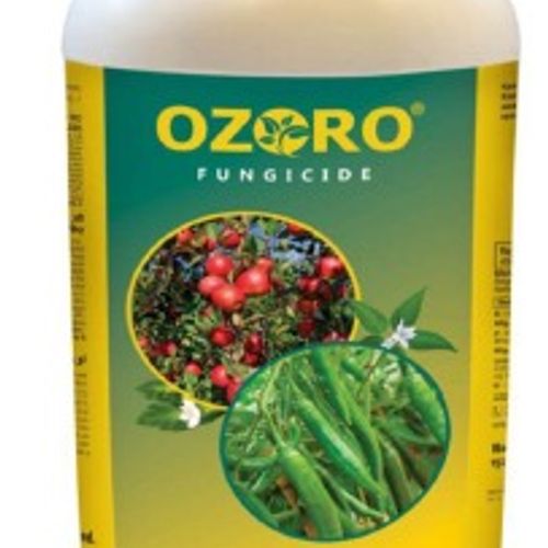 Ozoro