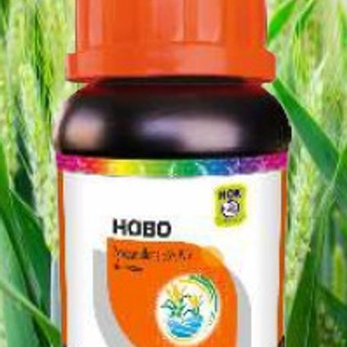 Hobo