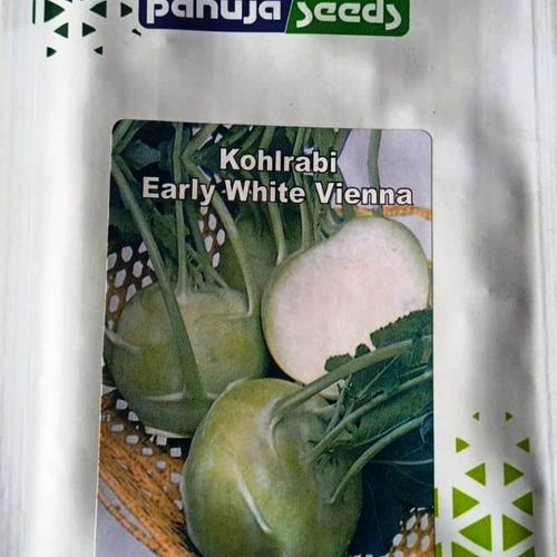KOHLRABI EARLY WHITE VIENNA – गांठ गोभी (सफ़ेद)