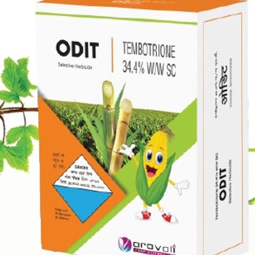 Odit