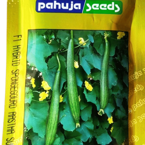 SPONGEGOURD – गिलकी