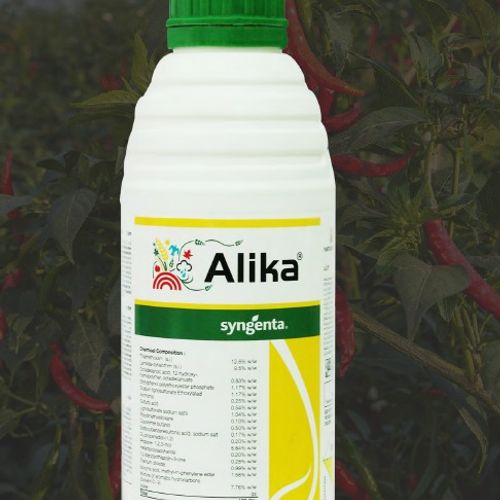 Alika 