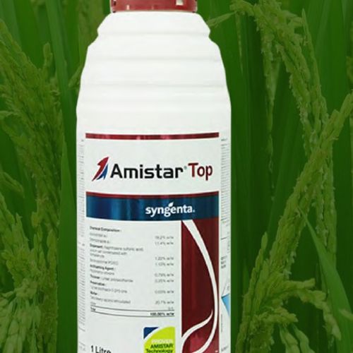 Amistar Top 