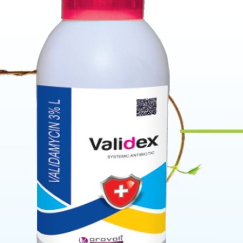 Validex