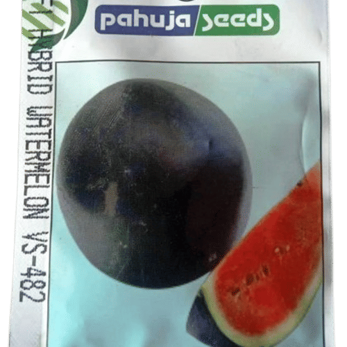 WATERMELON – तरबूज