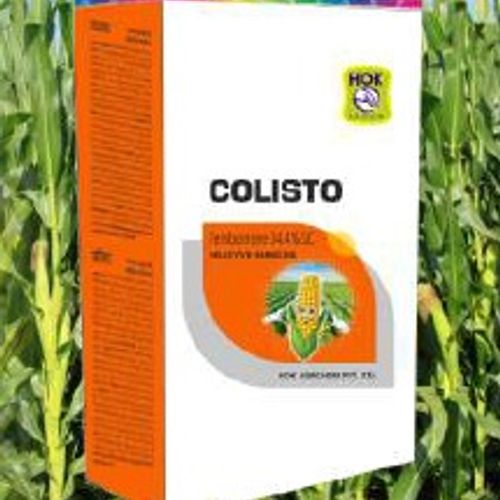 Colisto
