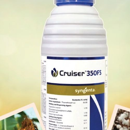 Cruiser 