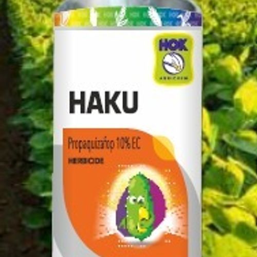 Haku