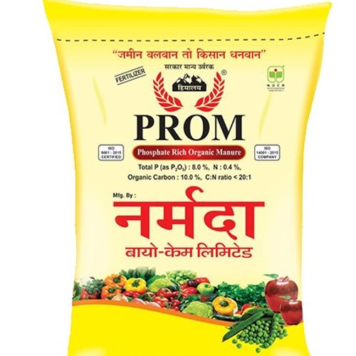 Narmada Prom