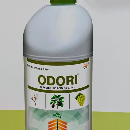 ODORI