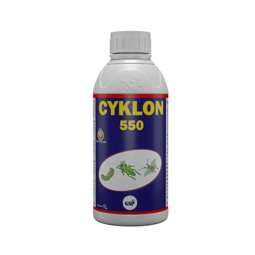 Cyklon
