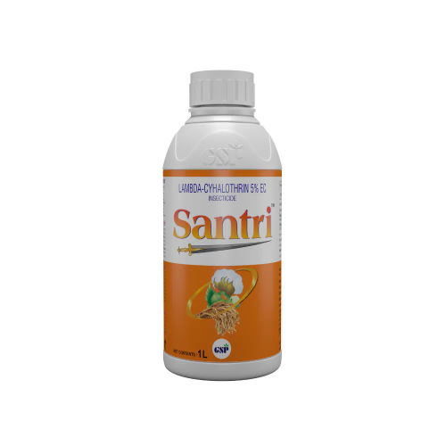 Santri