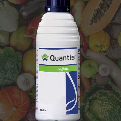 Quantis