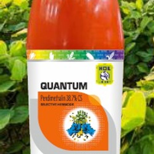 Quantum