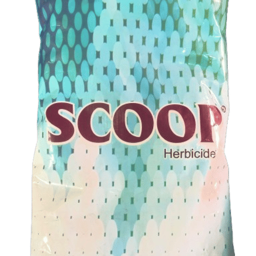 Scoop