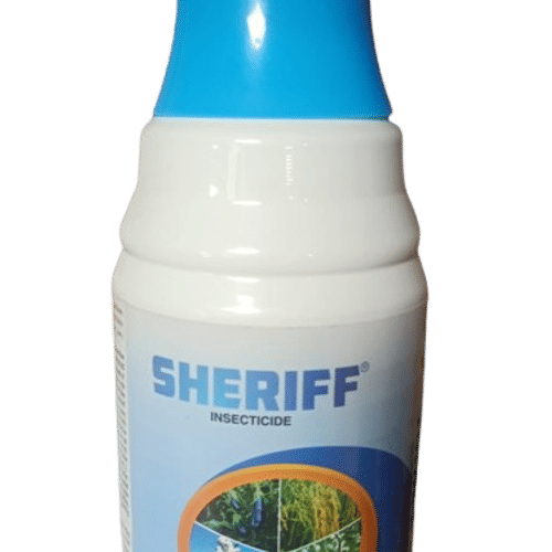 Sheriff