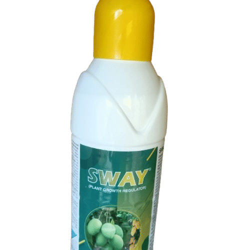 Sway