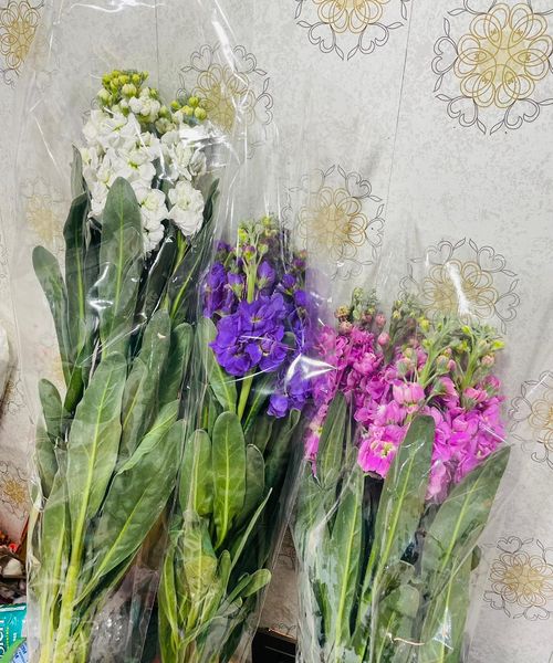 Stock Flowers