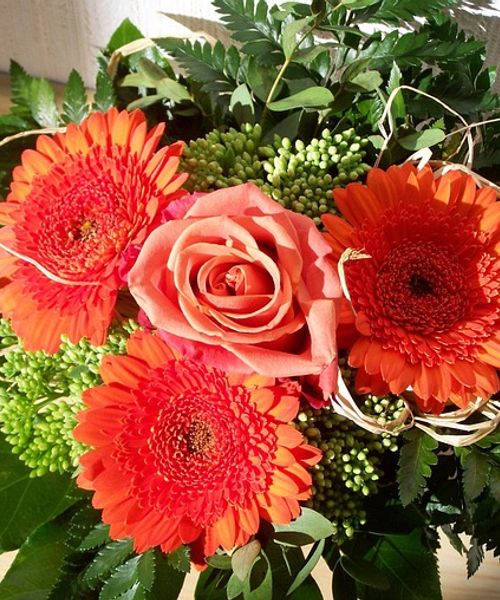 Gerbera Flowers