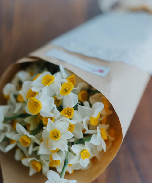 Nargis Flowers