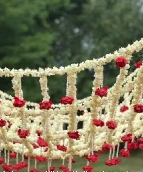 Wedding Entrance 