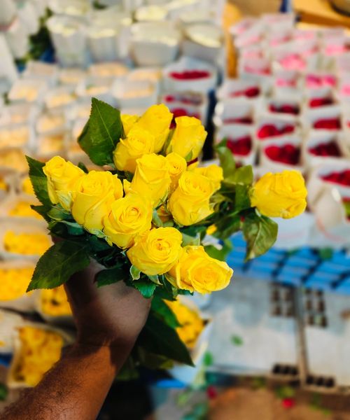 Rose Flowers