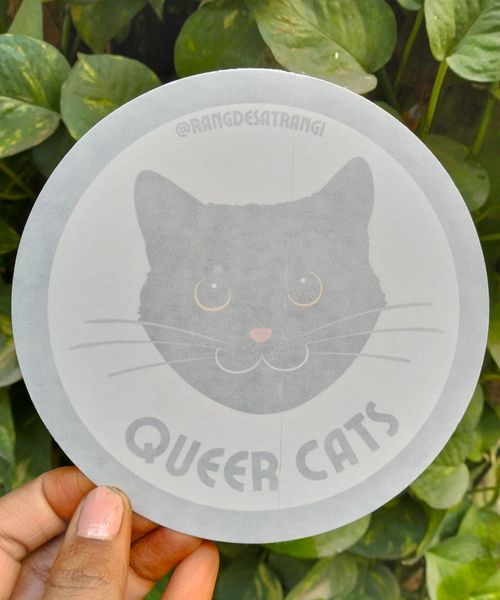 Queer cats car sticker 