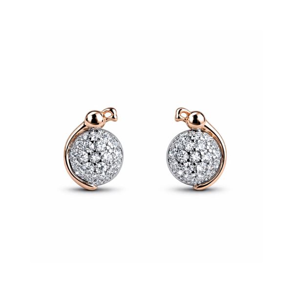 Eternal Radiance Studs