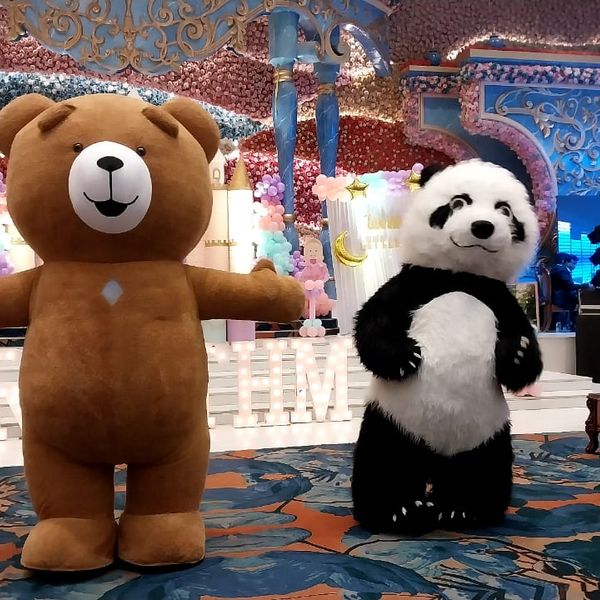 Teddy Mascot