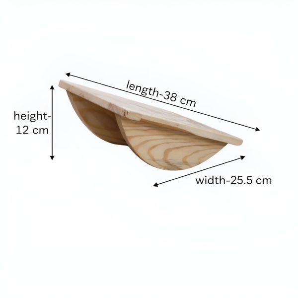 Wobble Board