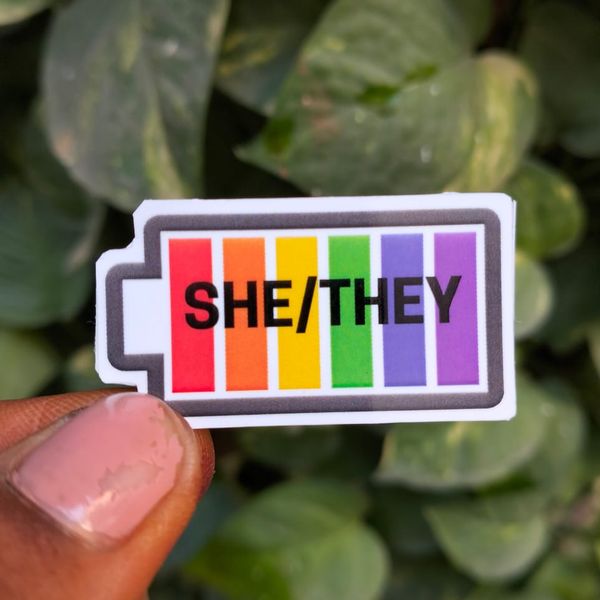 She/They Sticker 
